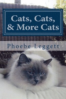 Cats, Cats, and More Cats 1