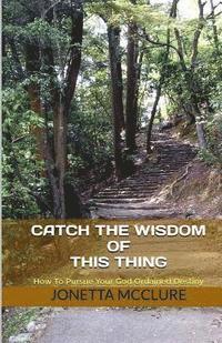 bokomslag Catch The Wisdom of This Thing: How to Pursue Your God Ordained Destiny