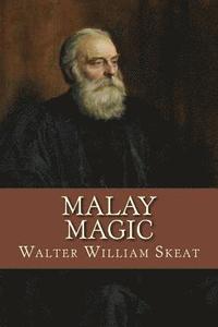 bokomslag Malay Magic