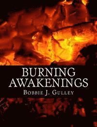 bokomslag Burning Awakenings