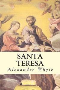 bokomslag Santa Teresa