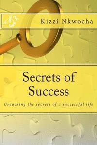 bokomslag Secrets of Success