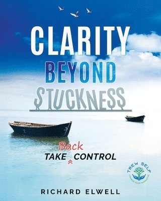 bokomslag Clarity beyond Stuckness: How to get and stay unstuck