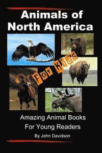bokomslag Animals of North America For Kids