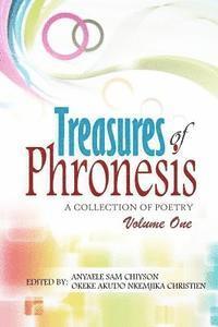 bokomslag Treasures of Phronesis