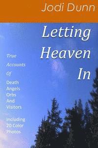 bokomslag Letting Heaven In: True Accounts Of: Death Angels Orbs And Visitors Including 20 Color Photos