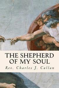 bokomslag The Shepherd of My Soul