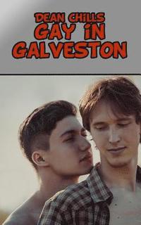 bokomslag Gay in Galveston