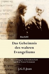 bokomslag Das Geheimnis des wahren Evangeliums: Die verborgene Geheimbotschaft aus dem Neuen Testament (Band 3)