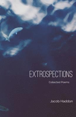 Jacob Haddon - Extrospections, Häftad. Tillgänglighet: Lägg i varukorg