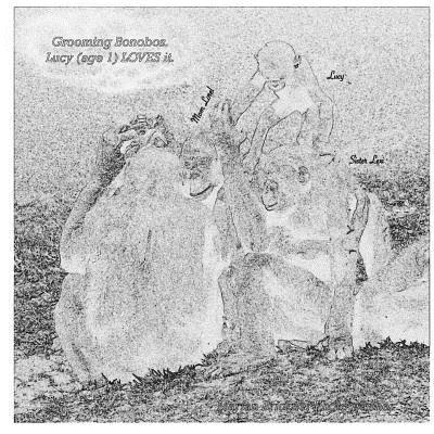 Grooming Bonobos Coloring Book: Lucy (age 1) LOVES it.