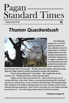 Thomm Quackenbush - Pagan Standard Times: Essays on the Craft, Häftad
