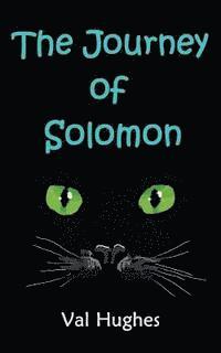 bokomslag The Journey of Solomon