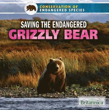 Justine Ciovacco - Saving the Endangered Grizzly Bear, Häftad