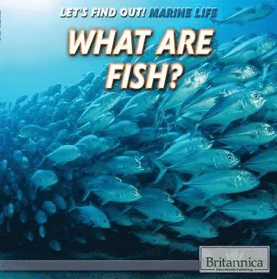 Bobi Martin - What Are Fish?, Inbunden. Tillgänglighet: Lägg i varukorg