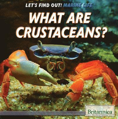 Therese M. Shea - What Are Crustaceans?, Inbunden. Tillgänglighet: Lägg i varukorg