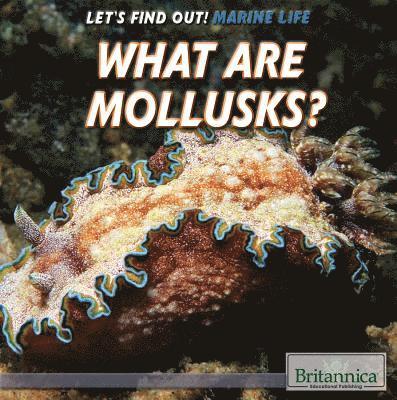 Sarah Machajewski - What Are Mollusks?, Inbunden. Tillgänglighet: Lägg i varukorg