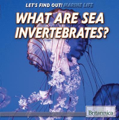 Julia J. Quinlan - What Are Sea Invertebrates?, Inbunden. Tillgänglighet: Lägg i varukorg