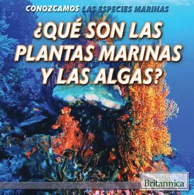 Lynnae D. Steinberg - What Are Sea Plants and Algae?, Inbunden. Tillgänglighet: Lägg i varukorg