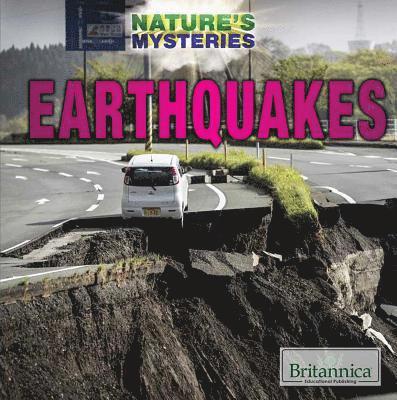 Paula Johanson - Earthquakes, Häftad