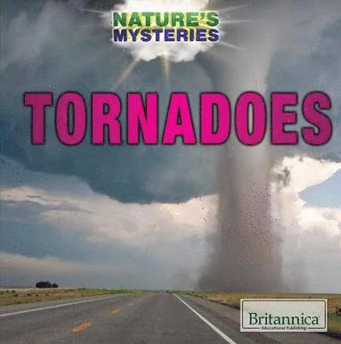 bokomslag Tornadoes