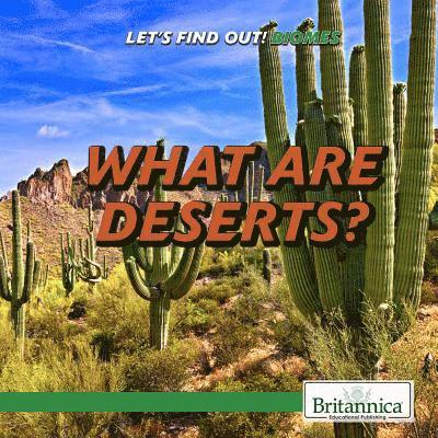 Philip Wolny - What Are Deserts?, Häftad