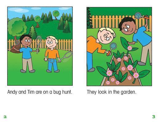 Declan Parnell - The Big Bug Hunt, Häftad