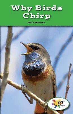 Jill Andersen - Why Birds Chirp, Häftad