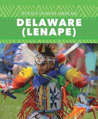 bokomslag Delaware (Lenape)