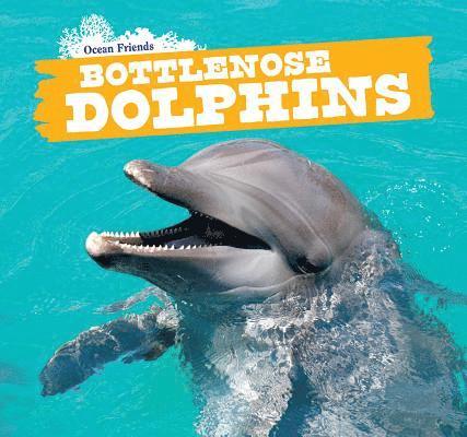 Bottlenose Dolphins 1