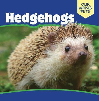 Melissa Raé Shofner - Hedgehogs, Inbunden
