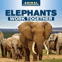 bokomslag Elephants Work Together