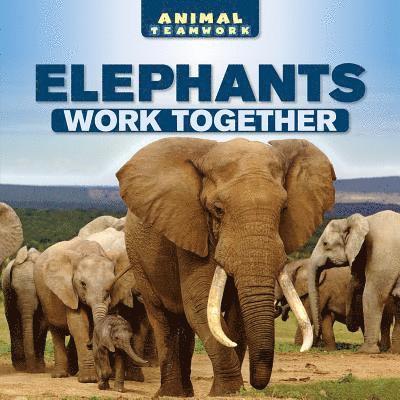 Elephants Work Together 1