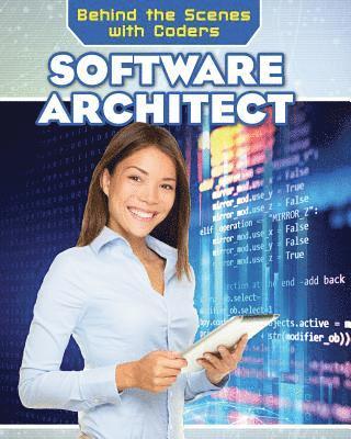 Christine Honders - Software Architect, Inbunden