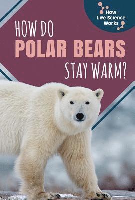 Mark Ripley - How Do Polar Bears Stay Warm?, Häftad