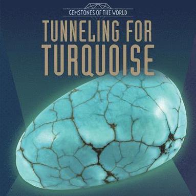 bokomslag Tunneling for Turquoise
