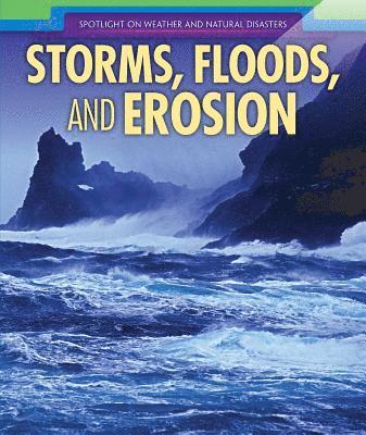 Sarah Machajewski - Storms, Floods, and Erosion, Häftad