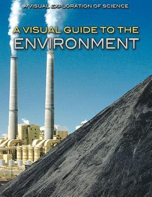 Diana Malizia - A Visual Guide to the Environment, Inbunden