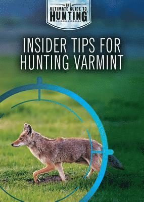 Xina M. Uhl, Judy Monroe Peterson - Insider Tips for Hunting Varmint, Häftad