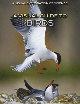Editorial Staff - A Visual Guide to Birds, Inbunden. Tillgänglighet: Lägg i varukorg