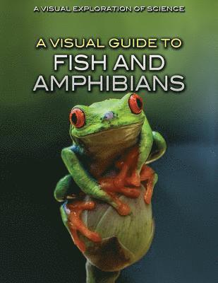 Editorial Staff - A Visual Guide to Fish and Amphibians, Inbunden. Tillgänglighet: Lägg i varukorg
