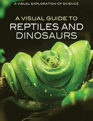 Editorial Staff - A Visual Guide to Reptiles and Dinosaurs, Häftad