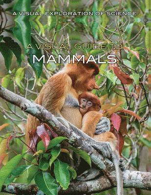 Editorial Staff - A Visual Guide to Mammals, Häftad