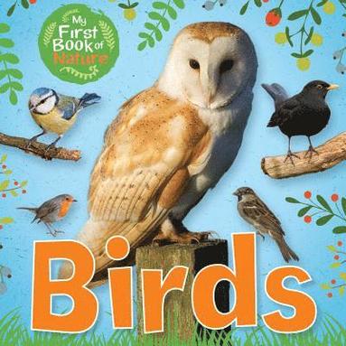 Victoria Munson - Birds, Häftad