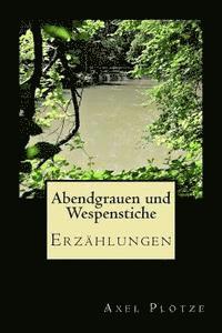 Axel Plotze - Abendgrauen und Wespenstiche: Erzählungen, Häftad