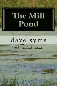 bokomslag The Mill Pond
