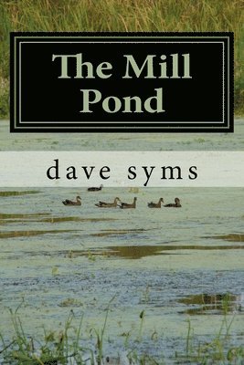 The Mill Pond 1