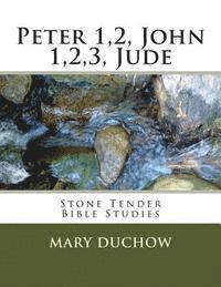 bokomslag Peter1,2john1,2,3, Jude: Stone Tender Bible Studies