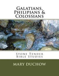 bokomslag Galatians, Philippians & Colossians: Stone Tender Bible Studies