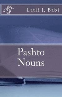 bokomslag Pashto Nouns